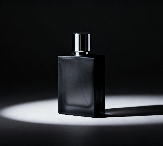 Light & Shadow